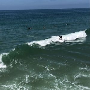 Meet your Posher, Alana